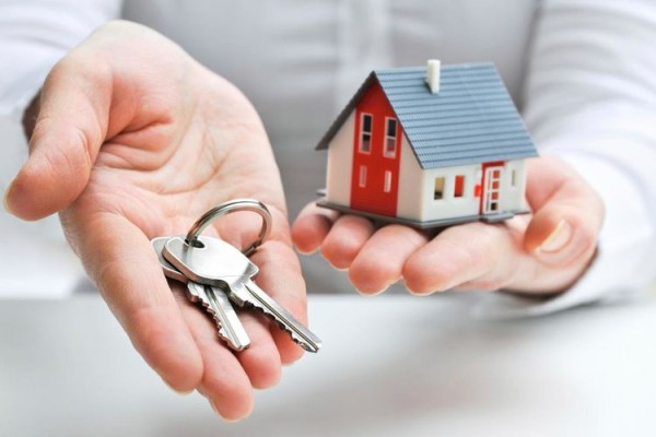 Was sind die Fachgebiete der Immobilienberatung?